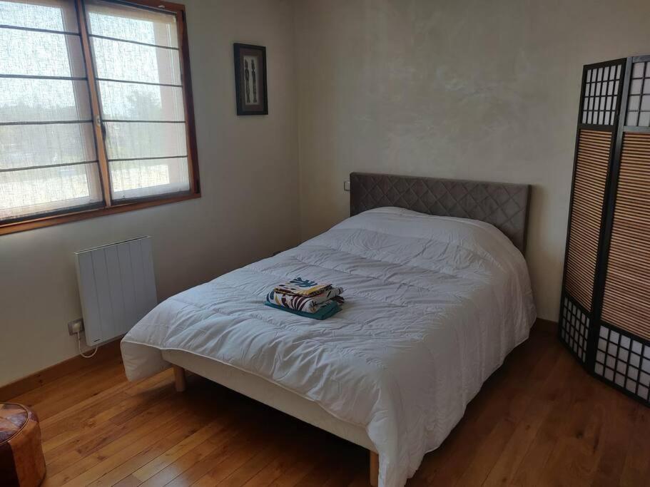 Maison Spacieuse Avec Billard Balneo Piano Talant ภายนอก รูปภาพ